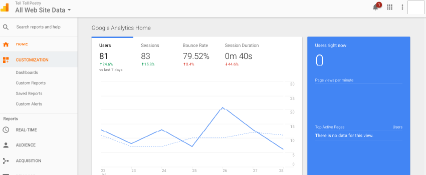 Google Analytics screen