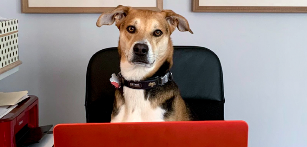 Adjusting to Working Remotely? We Can Help.